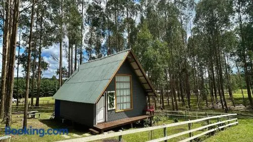 Seu Chalé Serra Catarinense : Wi-Fi e muito espaço - Image 1