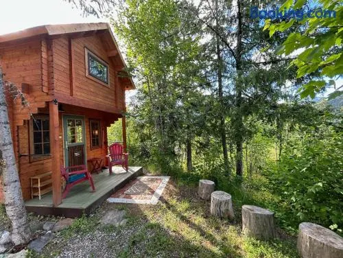 Funky Bunky - Image 1