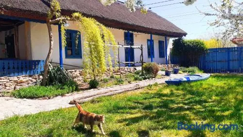 Traditional House in Danube Delta - Image 1