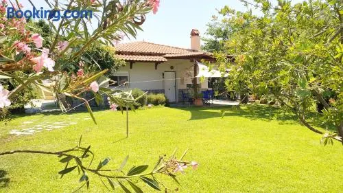 Summer House 150m from the beach for 5 persons. - Image 1