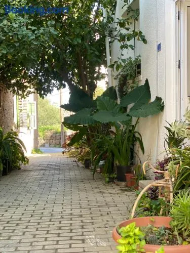 Grandmother's House - Image 1
