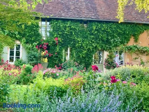 Le Jardin de Marie - la maison d'hôtes Sancerre - Image 1