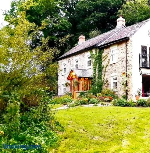 Kingsley Cottage Bed & Breakfast - Image 1