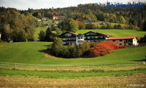 Appartement Hauzenberg-Panorama - Image 1