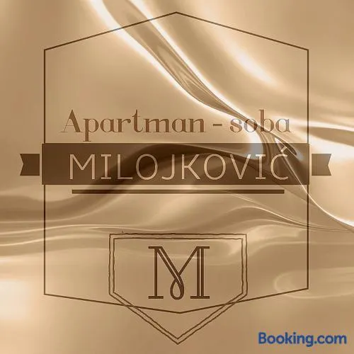 Apartman studio Milojkovic - Image 1