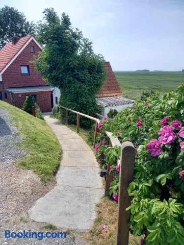 Schooster Huus - Image 1