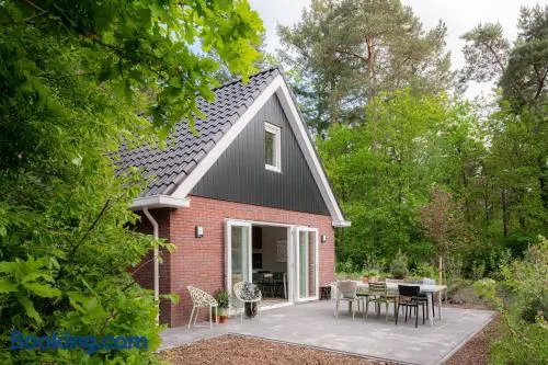 Luxe Vakantiehuis Ruwe Iep Veluwe - Image 1