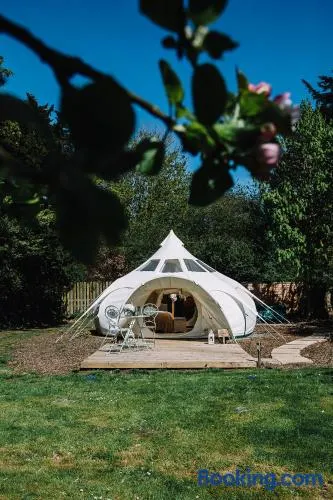 Appleblossom Yurt - Image 1