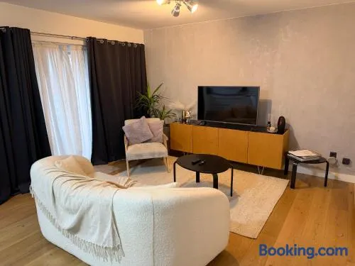 businessflat mol center - Image 1