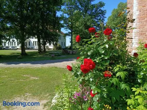Ferien am Schloss - Wohnung 1 "das Pferd", Ferienwohnung am Badesee - Image 1