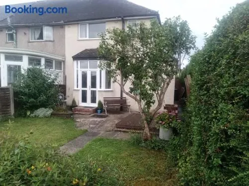 Fifty-five - Image 1