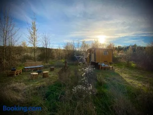 Maringotka Za Trnkou - Image 1