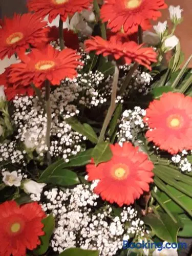 Da Hele & Zozi - Image 1