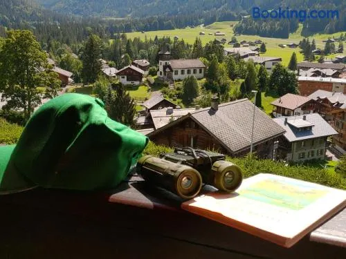 Studio avec vue splendide sur les Diablerets - Image 1