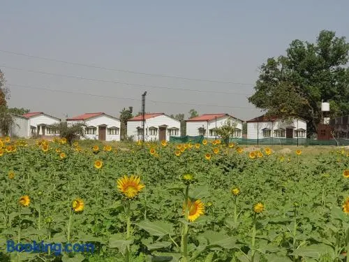 Living Green Farms - Image 1