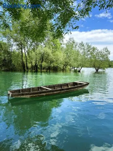 Drinska laguna - Image 1