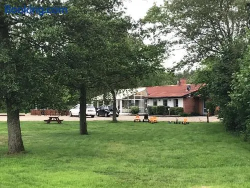 Rejkjær Camping Hytter & Lejligheder - Image 1