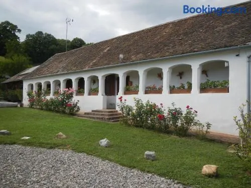 Berki Porta Vendégház - Image 1