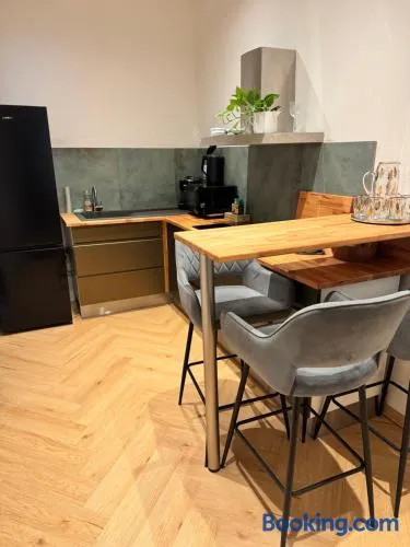 Apartmán u Vetešnictví - Image 1