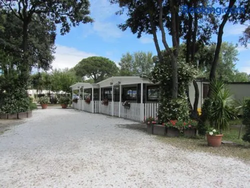 Camping Pineta - Image 1