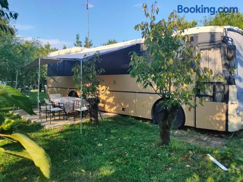 terrebioBus - Image 1
