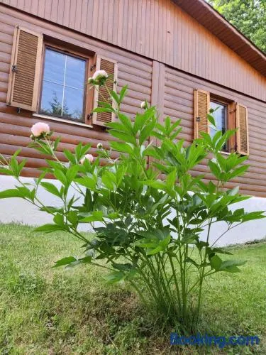 Ferienwohnung Grete, an der Weinstraße - Image 1