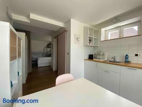 Chaleureux studio entre Neuchatel et Bienne - Image 1