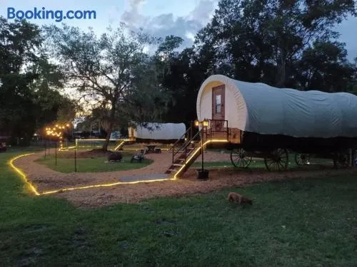 Highland Cow Glamping in a Cozy King Bed Wagon - Image 1