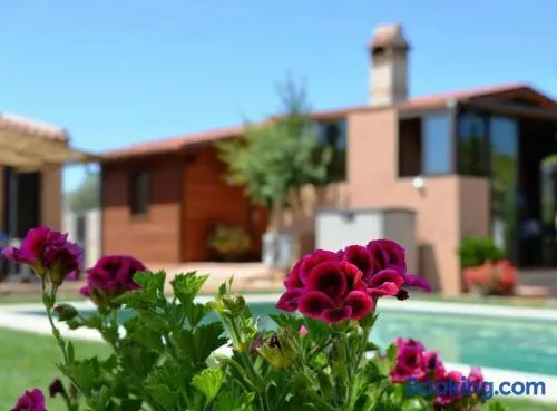 Cabaña Rural ¨La Huerta de los Serijos¨ - Image 1