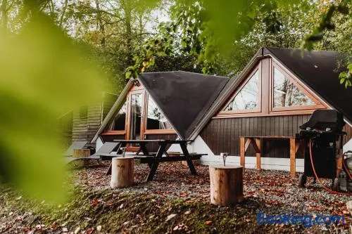 Chambre avec jacuzzi ou Chalets dans les bois - Image 1