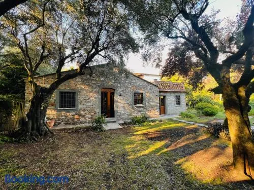 La Casina di Susy - Image 1