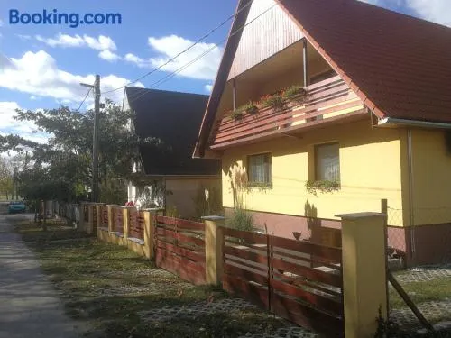 Napraforgó Vendégház Balatonvilágos - Image 1