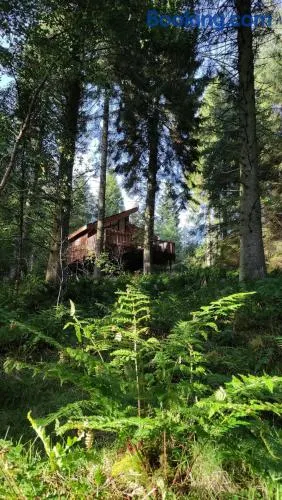 Glentress Forest Cabins - Forest Holidays - Image 1