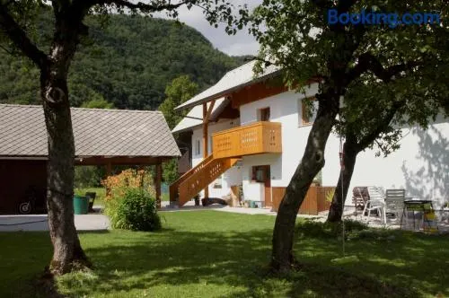 Apartments Markež - Image 1