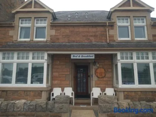 BELLEVILLE BED AND BREAKFAST - Image 1