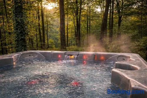 Architectural Woodland Spa Estate - 2 Hot Tubs - Image 1
