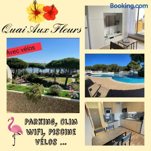 Studio vue port, belle terrasse, piscine - Image 1