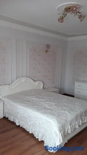 Truskavets Elit Apartment - Image 1
