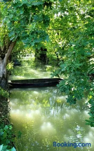 La chaume du marais poitevin avec barque green venice with boat - Image 1