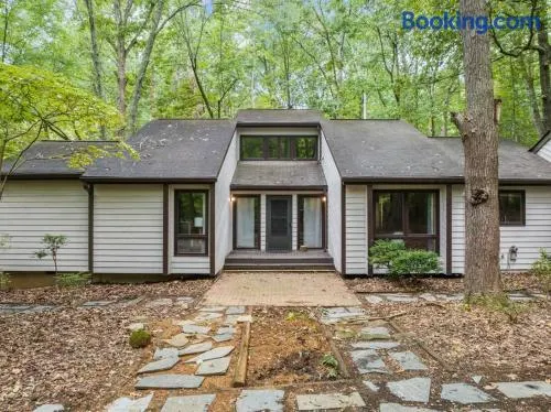 Large, private home on forested lot in Chapel Hill - Image 1