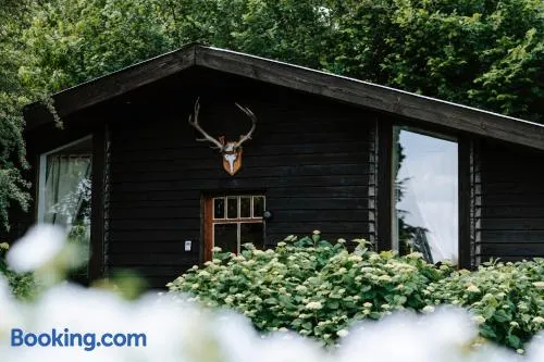 Le chalet Sud - Image 1