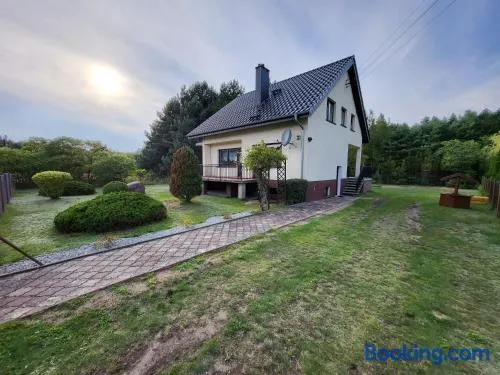 Maison de vacances adaptée aux familles avec barbecue et jardin | Vue jardin | Avec animaux admis - Image 1