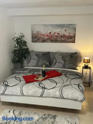 Apartman Collie - Image 1