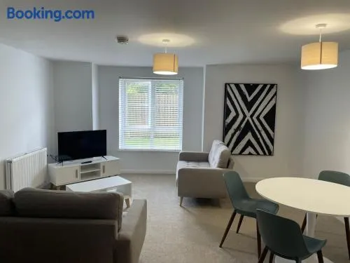 Newly Refurbished Large Apartment With Huge Garden - Image 1