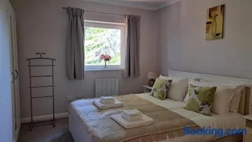 Peony Blossom Apartment, Croydon, quick accsess to Central London&Gatwick - Image 1