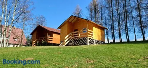 Modrzewie - Image 1