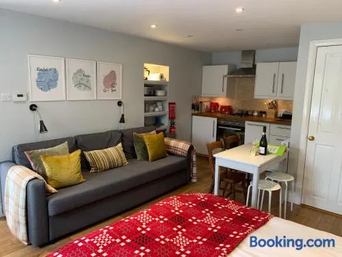 Cosy Studio Flat, pets allowed - Image 1