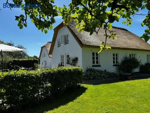 Thatched country escape - Aarhus - Image 1