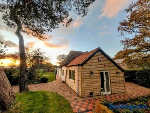 Stunning New Forest Country House - Abbot's Well for up to 10 guests - Image 1