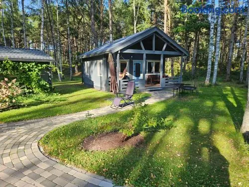 Pie Putniem - Image 1